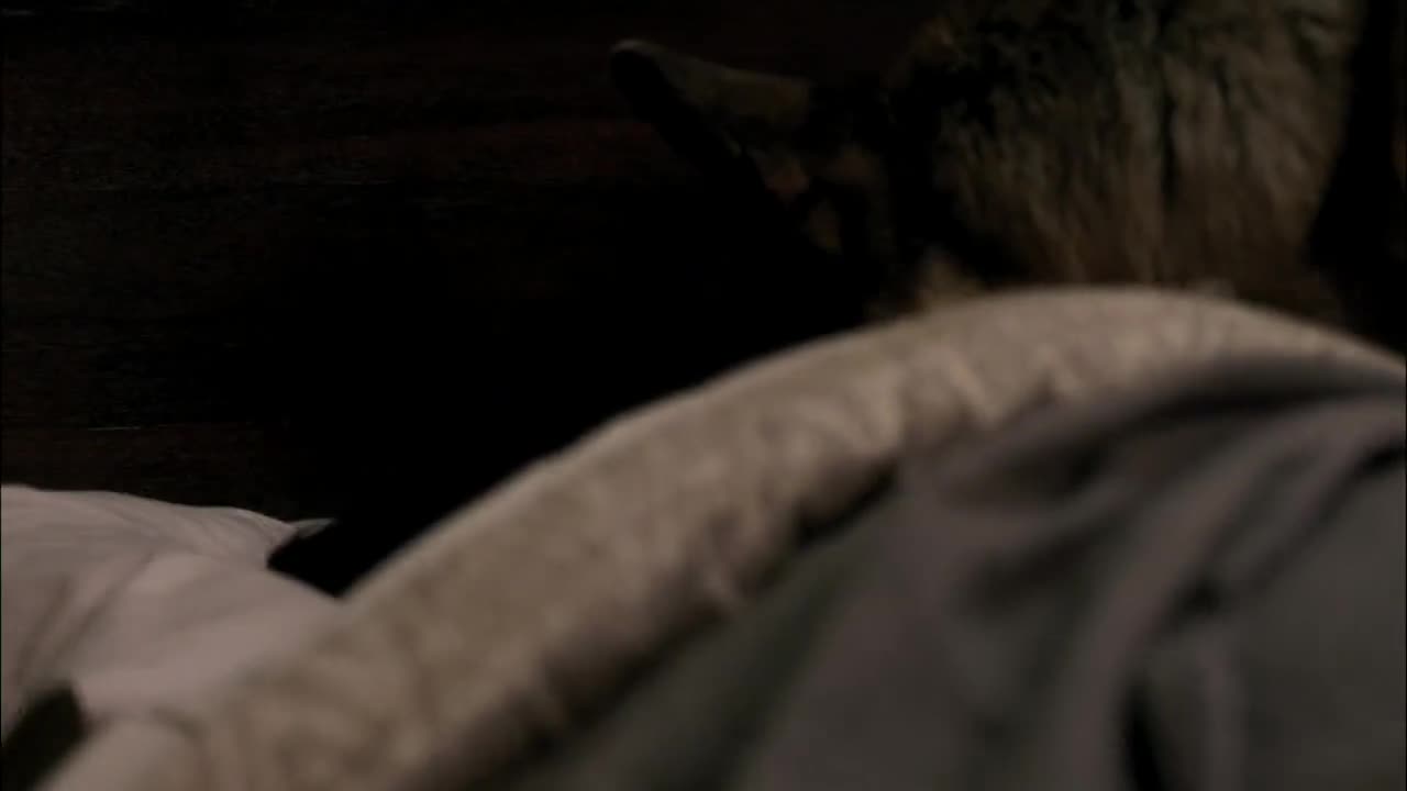 Сверхъестественное 6 сезон 8 серия