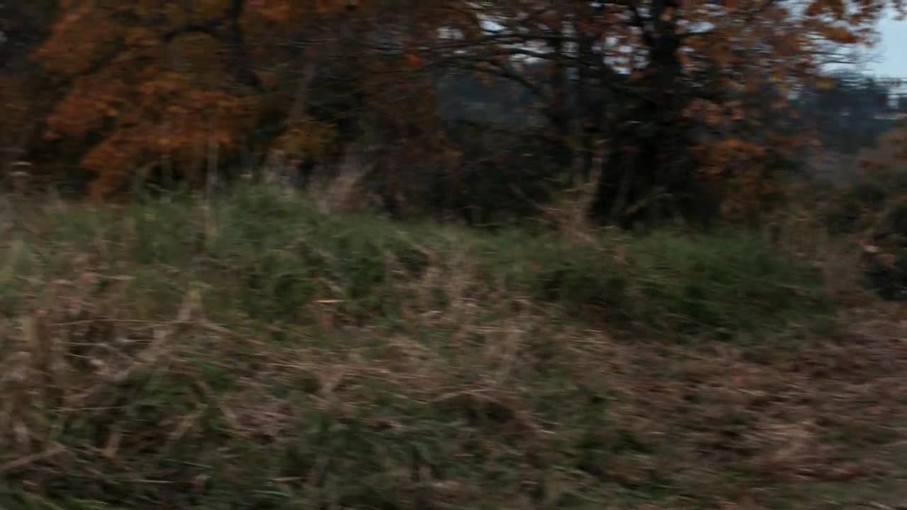 Сверхъестественное 4 сезон 11 серия