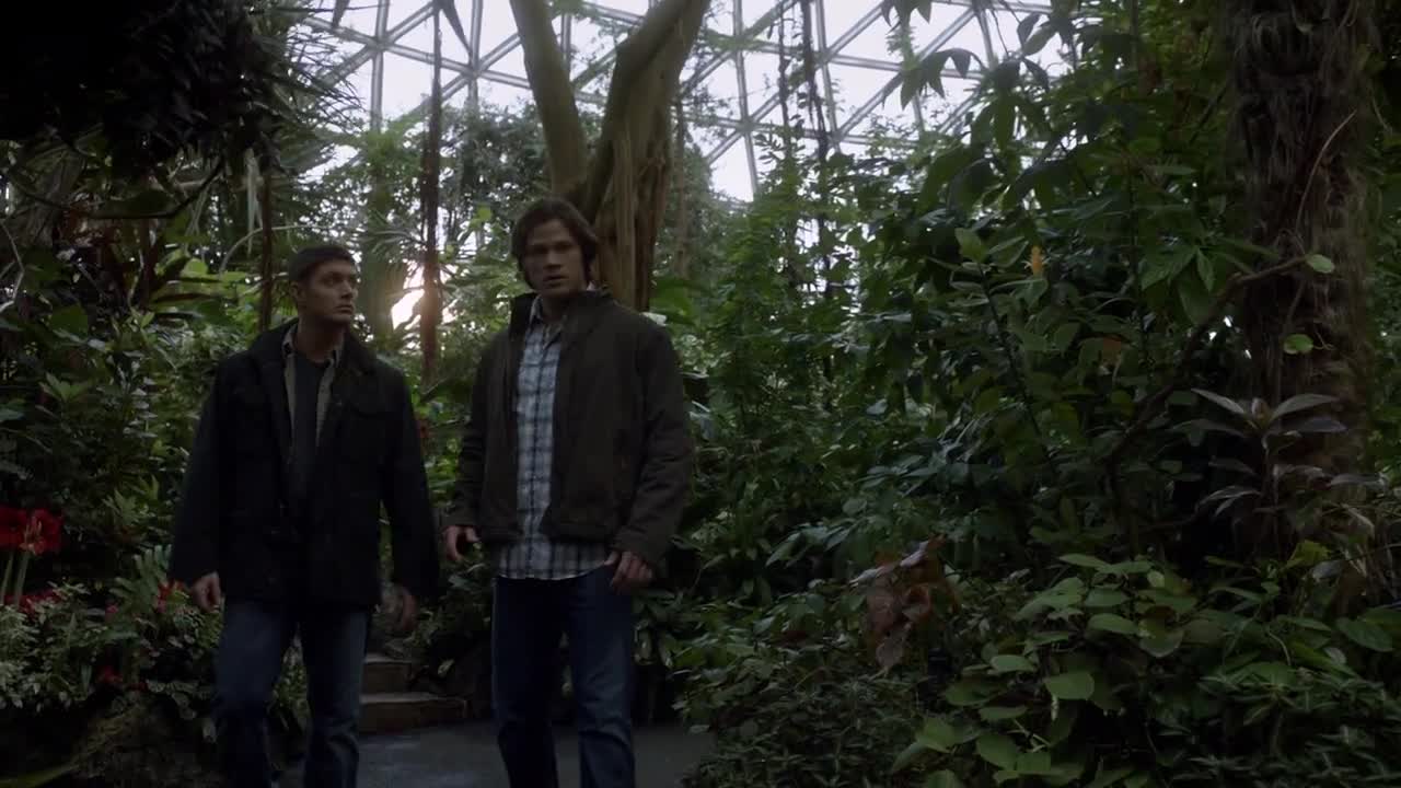 Сверхъестественное 5 сезон 16 серия